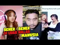 Download Lagu UNEXPECTED MOMENTS
