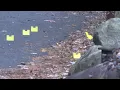 9 injured including teens in mass shooting at Ohio rental house WHIO-TV