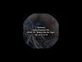 A Bird Nest with Birdsong by Joshua Espinoza Trio