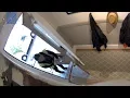 We tried Amazon Key The strangers it let in our door wasn t the worst part