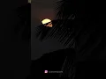 Download Lagu Sunset or Sunrise? | In love with timelapse | #sunset #sunrise #timelapse #sun #evening #morning