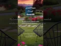 Download Lagu Surah Qasas | verse 24 | Quran Translation | Quran:28
