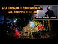 Download Lagu HOROR‼️astagfirullah..KETEMU HARIMAU SUMATRA SAAT CAMPING SENDIRIAN DI HUTAN