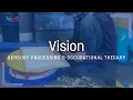 Vision Sensory Processing Pediatric Occupational Therapy