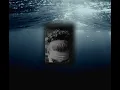 Marwan Moussa - El Bosla Da3et (Official Audio) مروان موسى - البوصلة ضاعت