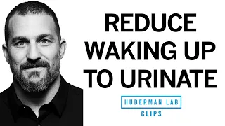 Download How to Reduce Nighttime Urination | Dr. Andrew Huberman MP3