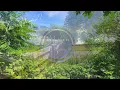 Download Lagu De Blenck 15 | Comfortabel Vakantiehuis in Callantsoog vlak bij Zee!