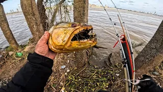 Pesca en primera persona, muchas técnicas de pesca, pesca urbana