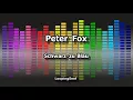 Peter Fox - Schwarz zu Blau - Karaoke