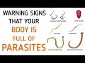 Don t Ignore These Early Symptoms Of Parasites In Your Body