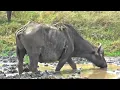 Download Lagu BURUNGE Wildlife Management Area Tanzania