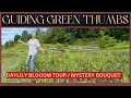 Download Lagu DAYLILY BLOOM TOUR / FARM STAND FLOWERS / THE MYSTERY BOUQUET