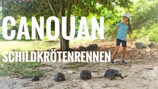 Karibik SEGELN: Schildkrötenrennen auf Canouan & Diva Time || Sailing 7seas #22
