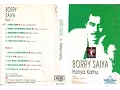 Download Lagu Salam Jumpa Kekasih ~ Borry Saiya