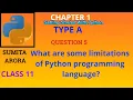 What are some limitations of Python programming language