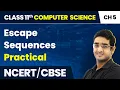 Escape Sequences - Getting Started With Python Class 11 Computer Science Chapter 5 CBSE 2024-25