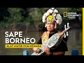 Download Lagu Sape Dayak, Menjaga Tradisi Harmoni Alam dan Manusia