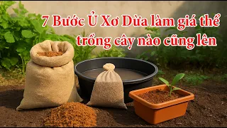 7 bước Ủ Xơ Dừa làm giá thể trồng cây nào cũng lên | Coconut fiber compost makes any plant grow.
