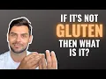 Sorry You Do NOT have a Gluten Intolerance