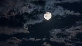 初音ミク 月の下で オリジナル  初音ミク 月の下で オリジナル