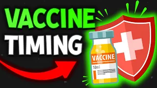 Understanding The Vaccine Timeline With Pets The Veterinary Roundtable - EP83