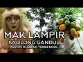 Download Lagu Mak Lampir Nyolong Gandul || Parodi Dubbing Terbengek