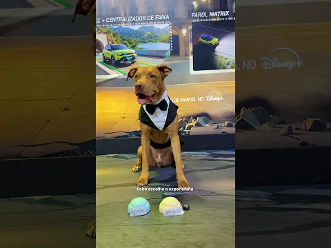 CACHORROS NO CONTROLE DO NOVO JEEP AVENGER 🚙🐶 #jeep #jeepavenger #publi #cachorros #pitbull #carro