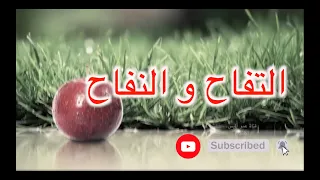Anis Haddad أغنية التفاح و النفاح و القوارص عالصباح تسجيل نادر مفاجأة 