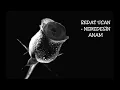Sedat Uçan - Neredesin Anam