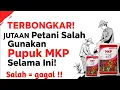 Lagu JANGAN PAKAI PUPUK MKP SEBELUM NONTON VIDEO INI! BISA GAGAL PANEN