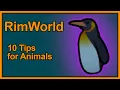 10 Tips for Animals