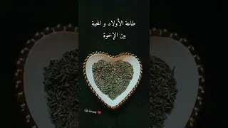 طاعة الأولاد و المحبة بين الإخوة 