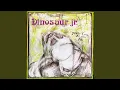 Dinosaur Jr. - Little Fury Things