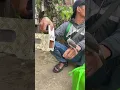 Download Lagu Beli pikat burung kutilang langsung ada burung liar nyamperin