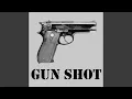 Download Lagu Gunshot Ringtone/Text Alert Sound Effect MP3