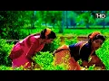 Download Lagu பாட்டு உன்னை இழுக்குதா//Paatu unnai ilukutha //Tamil 5.1 HD video song//Ilayaraja Hits