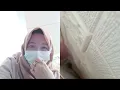 Download Lagu Assalamu'alaikum  mt siang semuanya@Delima Rizal #