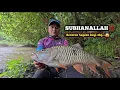 Download Lagu SUBHANALLAH‼️ REJEKI NOMPLOK MANCING SAMBIL DUDUK DAPAT IKAN SEGEDE BAYI.