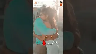 اغنيه انت حبي الوحيد 