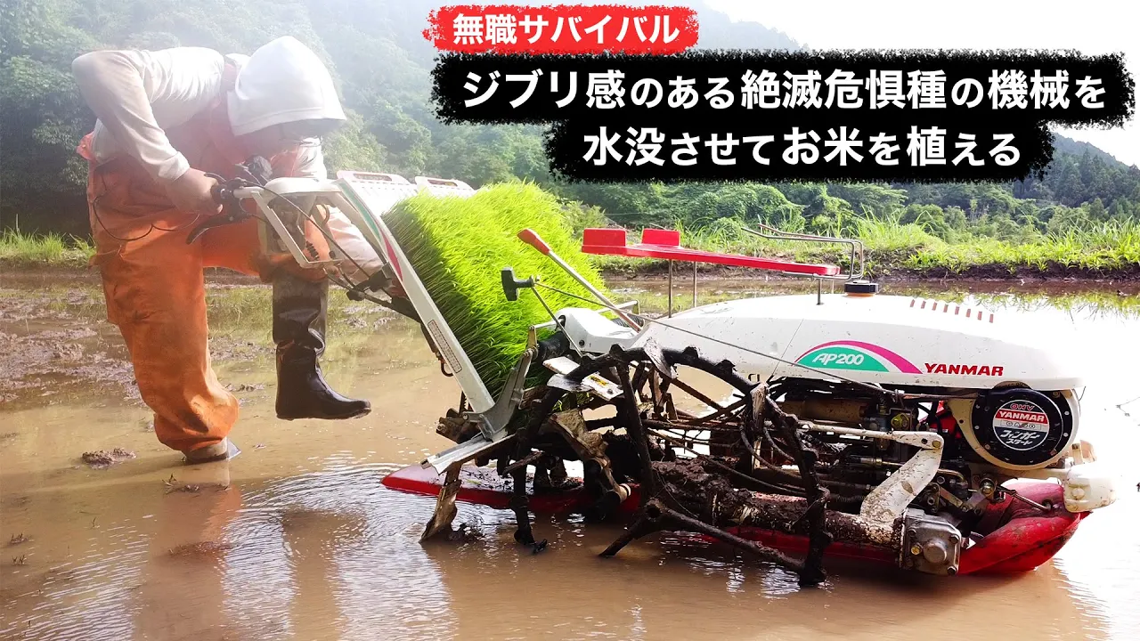 【無職サバイバル】ジブリ感のある絶滅危惧種の機械を水没させてお米を植える【限界集落で無職になる#38】