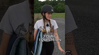 What Type Of Horse Do You Want  What Type Of Horse Do You Want