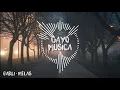 Lagu Lagu Gayo Barli - Melas