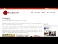 How to make a Wordpress website in 99 minutes FULL