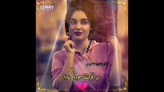 قالو قمر الليل قريبك سهر القوافي عمر محي الدين Amro Nu1ld 