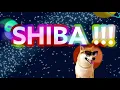SenseiKeitaro - SHIBA TO THE MOON ( SHIBA SONG )