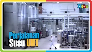 Download Proses Pembuatan Susu UHT di Pabrik susu Ultrajaya MP3