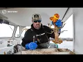 Lobstermen clash with conservationists over traps