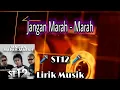 Download Lagu JANGAN MARAH MARAH - ST12 || LIRIK MUSIK