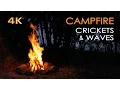 Download Lagu 4K Campfire by the Sea - Crickets \u0026 Ocean Waves - Night Forest Nature Sounds - Relaxing Fireplace