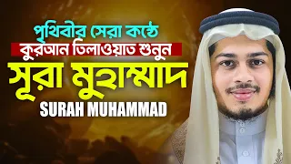 সূরা মুহাম্মাদ হাফেজ নাহিদুর রহমান سورة محمد তিলাওয়াত Surah Muhammad Hafez Nahidul Islam